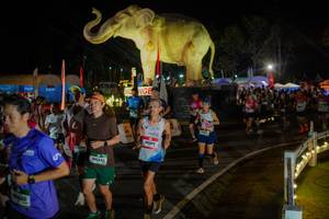 BIB: 
                            <button type="button" onclick="openModal(26552331)" class="btn btn-primary btn-sm float-right btn-popup" data-toggle="modal" data-target=".modal-high-quality">
                        <i class="fas fa-shopping-cart"></i> Add to Cart
                    </button>
                                            <button type="button" onclick="isThisMe(26552331, true)" class="btn btn-success btn-sm float-right btn-popup btn-isme hidden" data-toggle="tooltip" data-placement="bottom" title="นี่คือรูปของคุณใช่ไหม คลิกที่นี่เพื่อเอาเข้าอัลบั้ม">
                        <i class="fas fa-plus"></i> Add to album
                    </button>
                    <button type="button" onclick="isThisMe(26552331, false)" class="btn btn-warning btn-sm float-right btn-popup btn-isnotme hidden">
                        <i class="fas fa-ban"></i> Remove from album
                    </button>